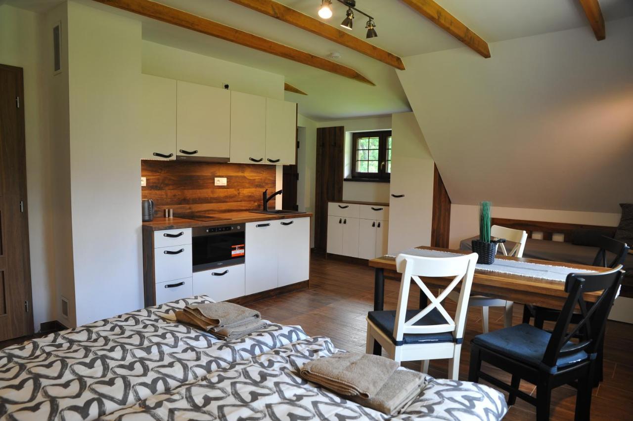 Apartmány U Fibichů Orlické Záhoří Kültér fotó